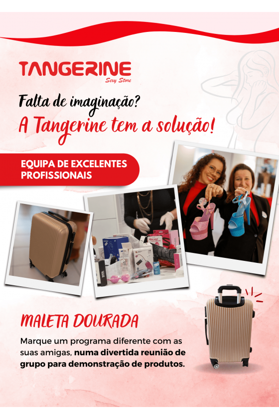 Maleta Dourada-Pack mini